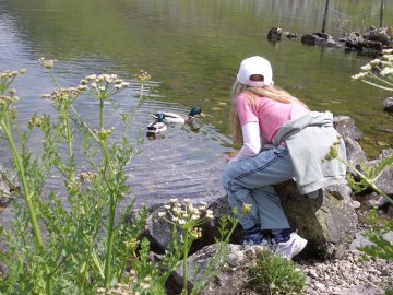 Quackers